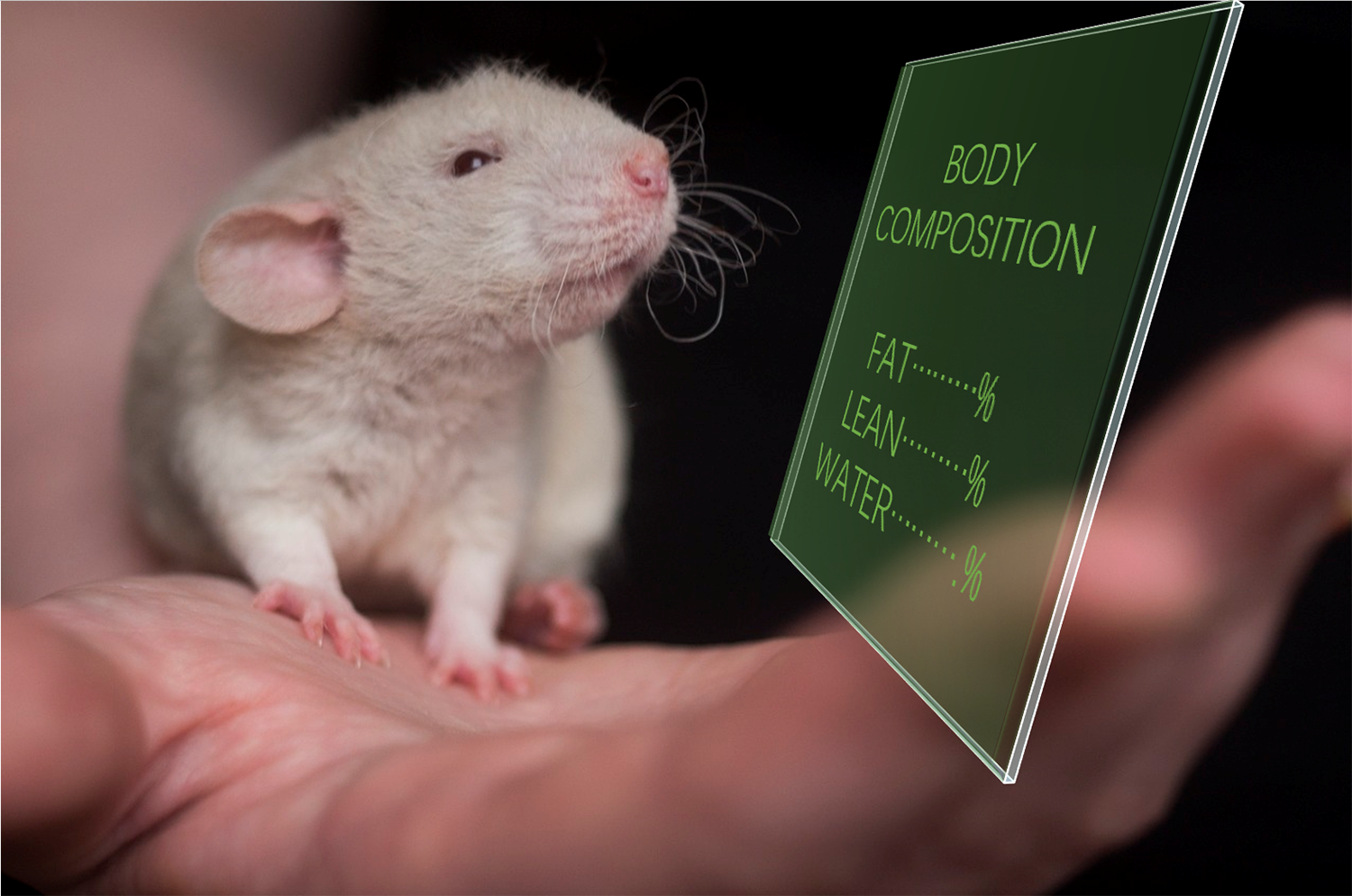 NMR-Based Animal Body Composition Analyzer (Rapid Measurement of Body Fat, Lean Mass, and Water Content in Conscious Animals) Now Open for Demo Testing Services