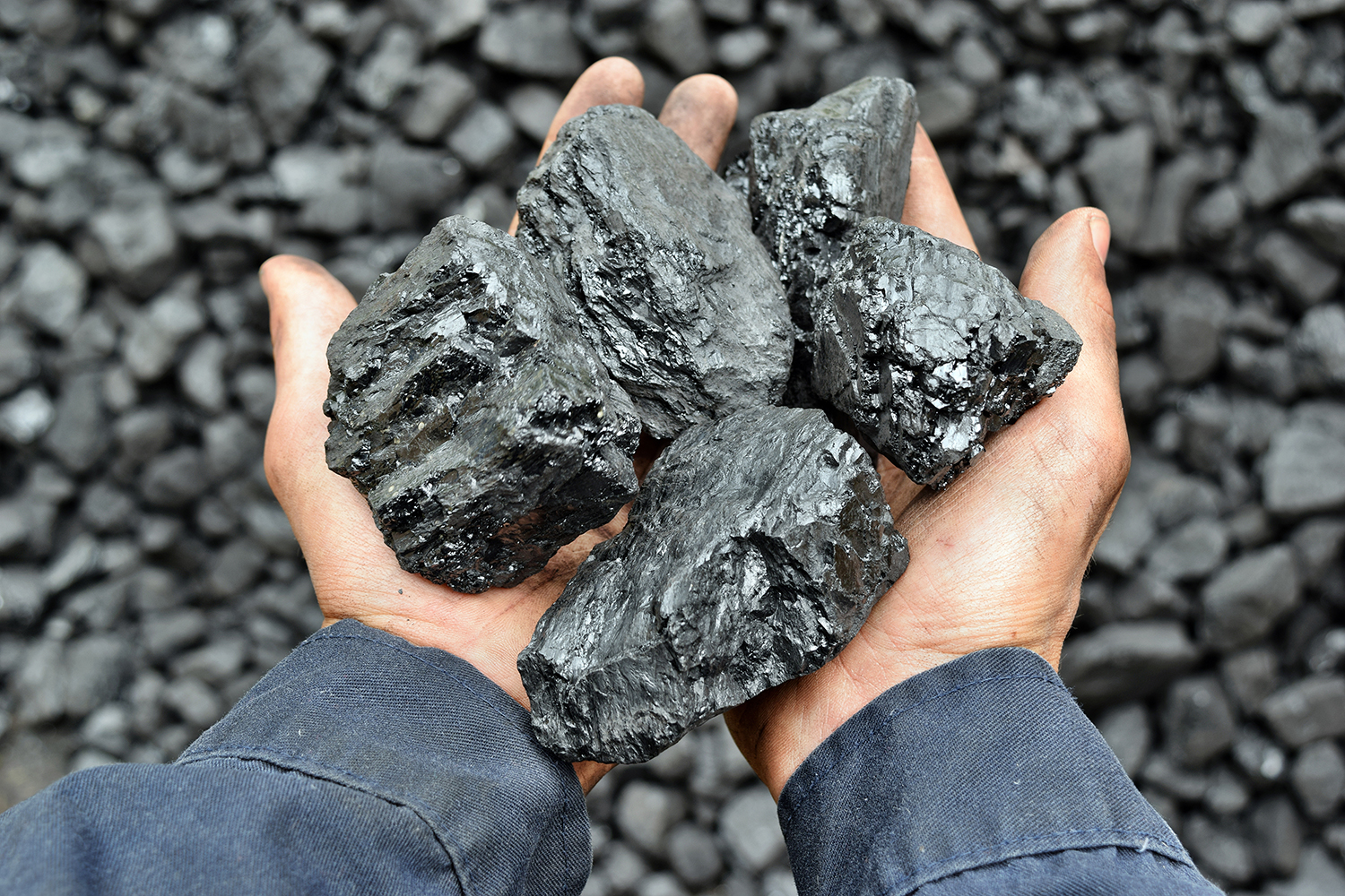 Study on the Effects of Carbon Dioxide and Helium on Coal Wettability