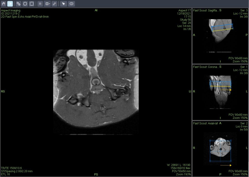 In Vivo Imaging Applications of Small Animal MRI Systems in Toxicology and Pathology