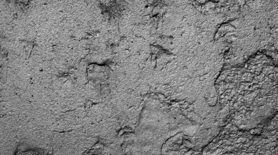 Evolution of the Microscopic Pore Structure of Alkali-Activated Slag Mortar under Accelerated Carbonation