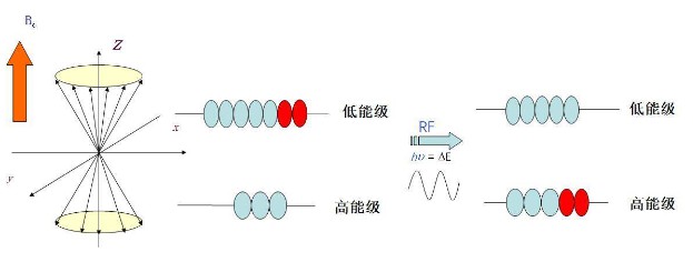 Introduction to the Standard Methods and Low-Field NMR Technique for Measuring Rubber Adhesion on Tire Cord Fabric