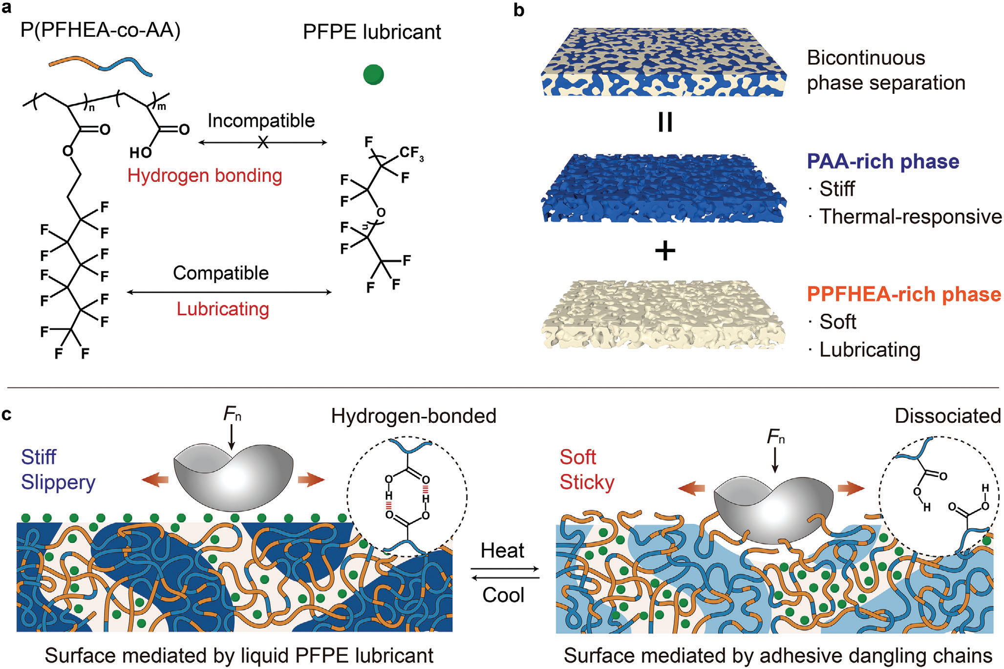 How to Characterize Fluorogels? Let Low-Field ¹⁹F NMR Show Its Power