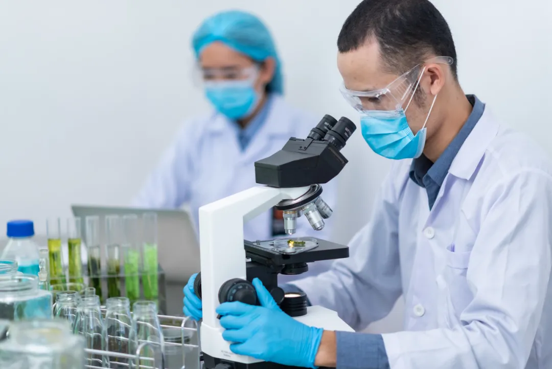 How to Expand New Food Resources? The Technological Synergy of Biomanufacturing and Precision Detection