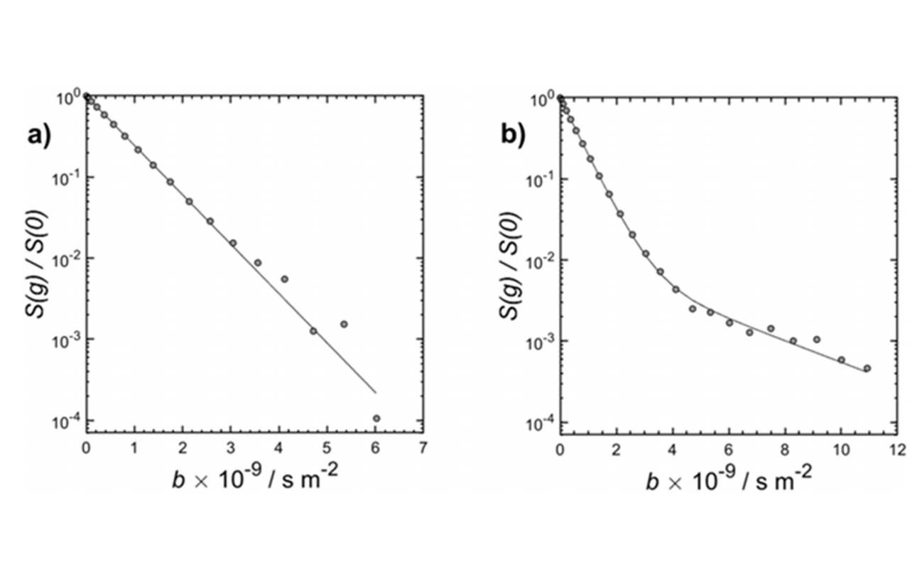 Frontier Applications | Characterizing Pore Connectivity in Porous Catalyst Materials Using Low-Field NMR Technology